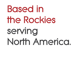 Bayne Consulting & Search, Inc. | Talent Management for the Security